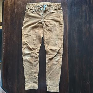 Patagonia Cord pants